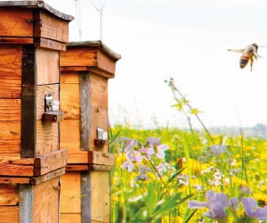 Newsletter Newsletter: 15€ de remise + un cadeau OFFERT