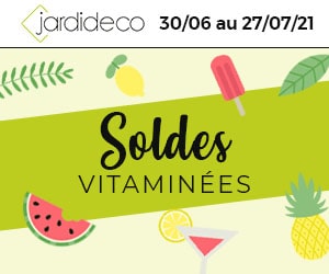 Bon plan Soldes d'été : jusqu'à 50% de remise sur une sélection de produits