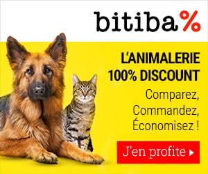 Bon plan Offres de Noël :8% de remise sur tout le site dès 99€ d'achats