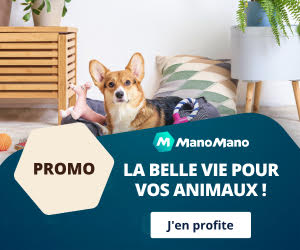 Bon plan Des remises incroyables dans les catégories suivantes : accessoires, jouets, alimentation, cages, aquariums, etc.